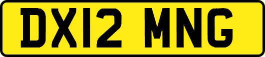 DX12MNG