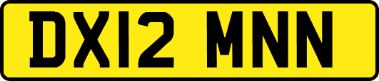 DX12MNN