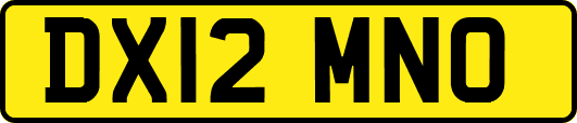 DX12MNO