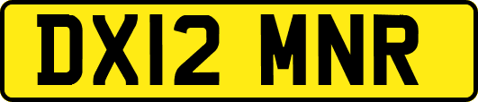 DX12MNR