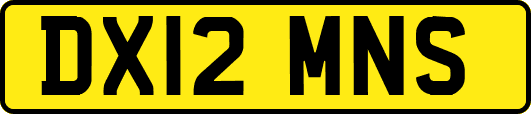 DX12MNS