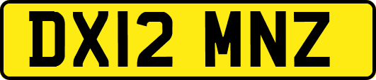 DX12MNZ