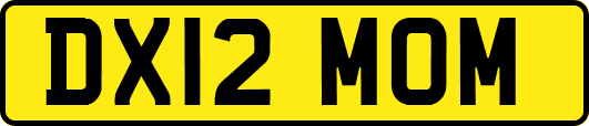 DX12MOM