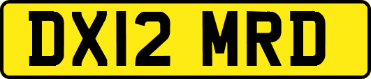 DX12MRD