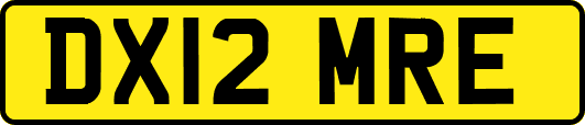 DX12MRE