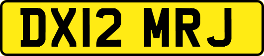 DX12MRJ