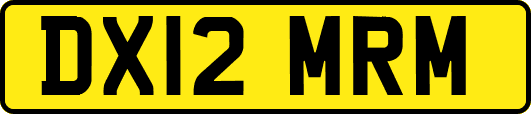 DX12MRM