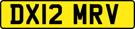 DX12MRV