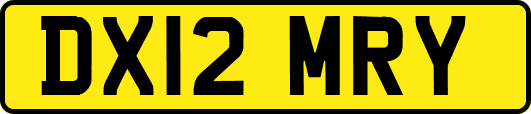 DX12MRY
