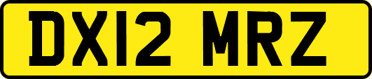 DX12MRZ
