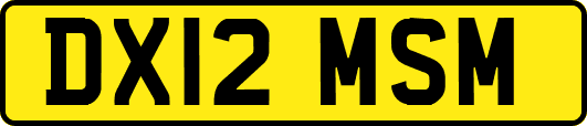 DX12MSM