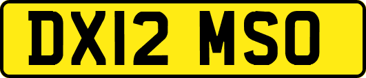 DX12MSO