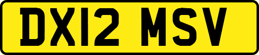 DX12MSV