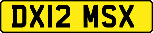 DX12MSX