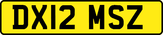 DX12MSZ