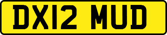 DX12MUD
