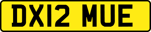 DX12MUE