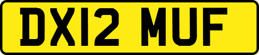 DX12MUF