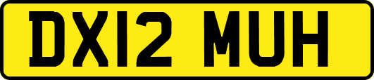 DX12MUH