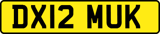 DX12MUK