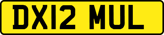 DX12MUL