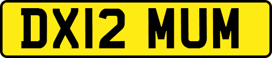 DX12MUM