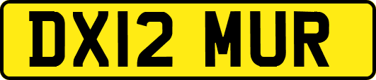 DX12MUR