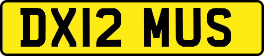 DX12MUS