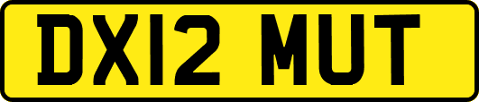 DX12MUT