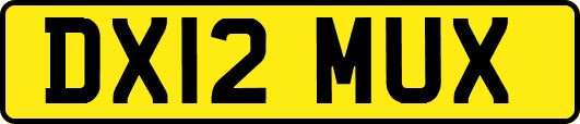 DX12MUX