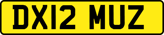 DX12MUZ