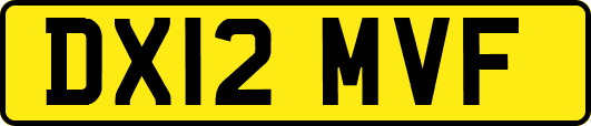 DX12MVF