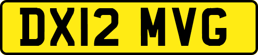 DX12MVG