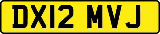 DX12MVJ