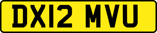 DX12MVU