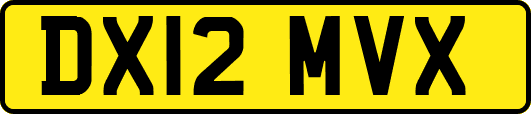 DX12MVX
