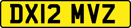 DX12MVZ