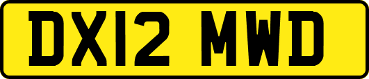 DX12MWD