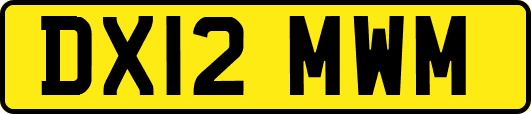 DX12MWM