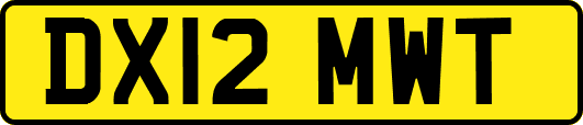 DX12MWT