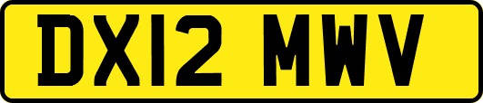 DX12MWV