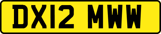 DX12MWW