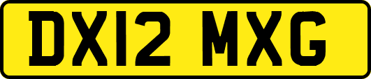 DX12MXG
