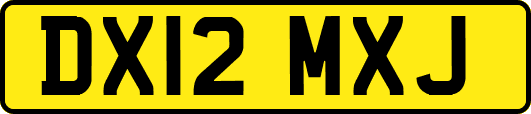 DX12MXJ