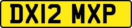 DX12MXP