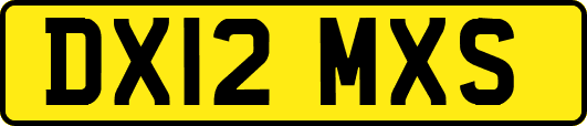 DX12MXS