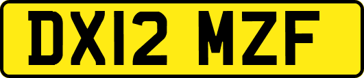 DX12MZF