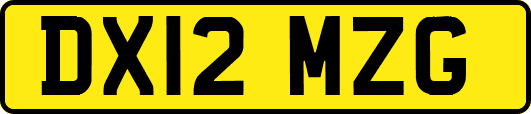 DX12MZG