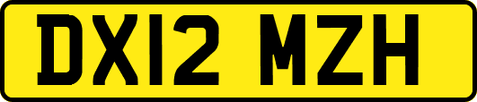 DX12MZH