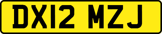 DX12MZJ